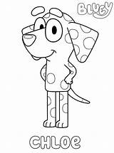 Bluey Coloring Pages Chloe Printable Dalmatian Kids Coloring4free Film Tv Coco Snickers Fun Votes Related Description Mackenzie sketch template