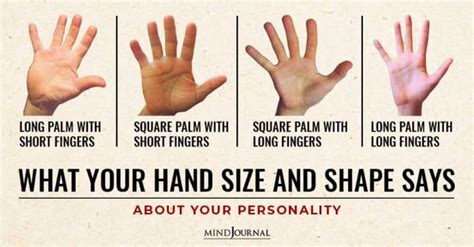 hand size  shape    personality