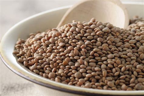 lentil imports   financial tribune