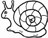 Snail Coloring Pages Printable Color Print sketch template