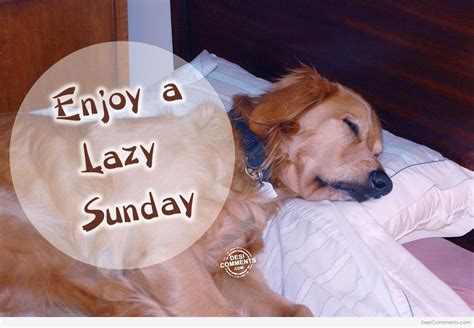 lazy sunday desicommentscom