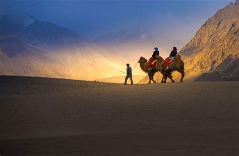 best time to visit nubra valley leh ladakh tourism