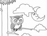 Night Coloring Pages Animals Owl Printable Owls Color Drawings Designlooter Eyes Morning Remodel Line Popular 1240px 6kb 1594 sketch template