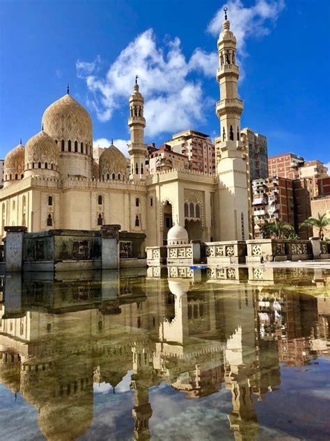offer private tours  alexandria port    cairo day