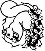Eekhoorn Kleurplaat Squirrel Dieren Colorare Coloring Coloriages Mewarnai Bajing Animasi Ecureuil Bergerak Animaatjes Scoiattoli Stemmen Kleurplatenwereld Picgifs Animate sketch template