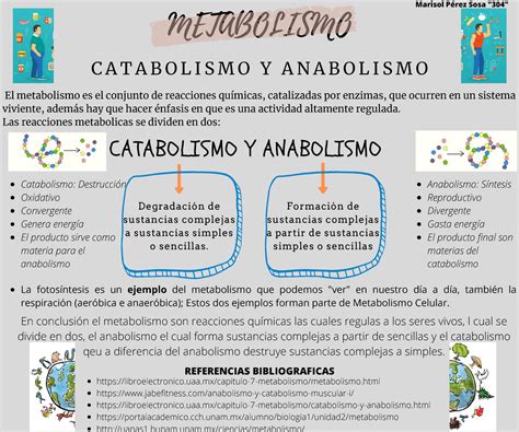 metabolismo anabolismo  catabolismo el metabolismo es el conjunto de reacciones quimicas