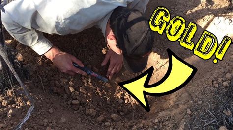 finding gold metal detecting  gold  minelab gpz youtube