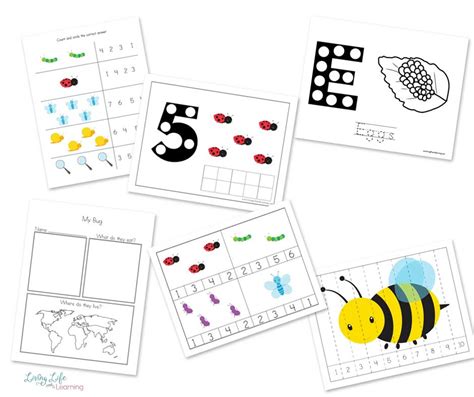 insect worksheets  kids