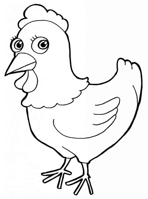 galinha  colorir  pintar portal  artesanato galinha desenho
