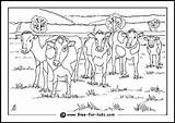 Farm Colouring Pages Coloring Kids Cows Animals Animal Cow Color Shtml Board Autumn Days School Dairy Choose sketch template