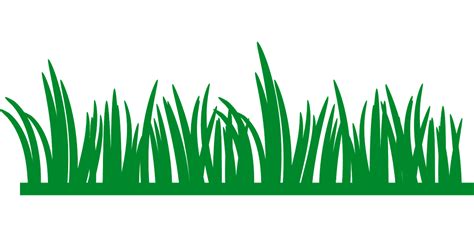 gras rasen gruen kostenlose vektorgrafik auf pixabay