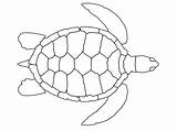 Tortuga Tortugas Tartaruga Turtles Colorir Aboriginal Molde Gratistodo sketch template