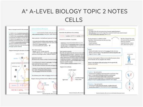 aqa  level biology topic  revision notes cells teaching resources