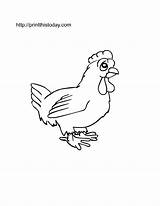 Hen Coloring Animals Kids Pages Printable Farm Color Cute Getcolorings Print sketch template