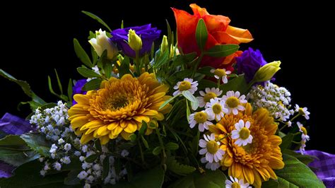 czy kwiaty  dobry pomysl na prezent urodzinowy amarant kwiaty na