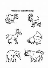 Coloring Pages Farm Animal Barn Preschool Farmer Animals Printable Malaysia Basketball Coloringtop Getdrawings Popular Kids sketch template