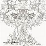 Tree Coloring Pages Life Trunk Printable Getcolorings sketch template