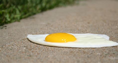 Hot Enough To Fry An Egg Farmers Almanac Plan Your Day Grow Your