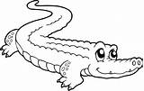 Crocodile Coloring Animals Pages Printable Drawings sketch template