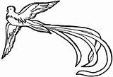 Quetzal Quetzales Escudo Patrios Volando Simbolos Ave Nacional Resplendent Resultado Pajaros Pyrography Burning Wood Grabados Aves Pinto Pueda Columbian Bordado sketch template