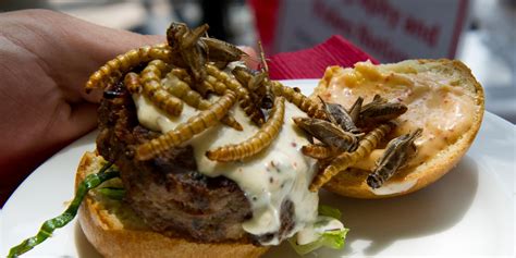 grasshopper burgers scorpion lollipops   unusual food