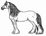 Horse Coloring Pages Clydesdale Horses Drawing Printable Color Quarter Friesian Pinto Print Mare Draft Spirit Foal Getcolorings Sheet Realistic Result sketch template