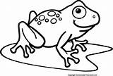 Frog Clip Clipart Frogs Pond Outline Lily Tree Cliparts Pad Cute Drawing Line Vector Coloring Pages Waving Easy Library Clipartix sketch template