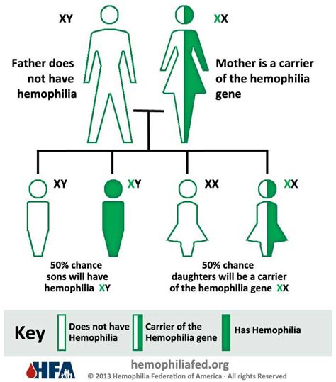 mode of inheritance hemophilia hayouna