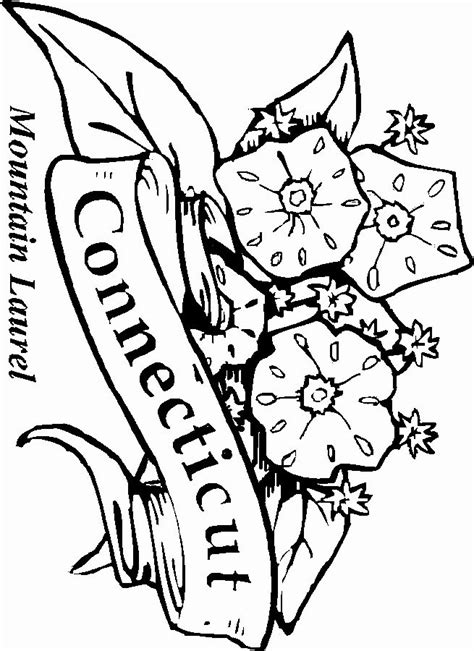pin   flower coloring pages