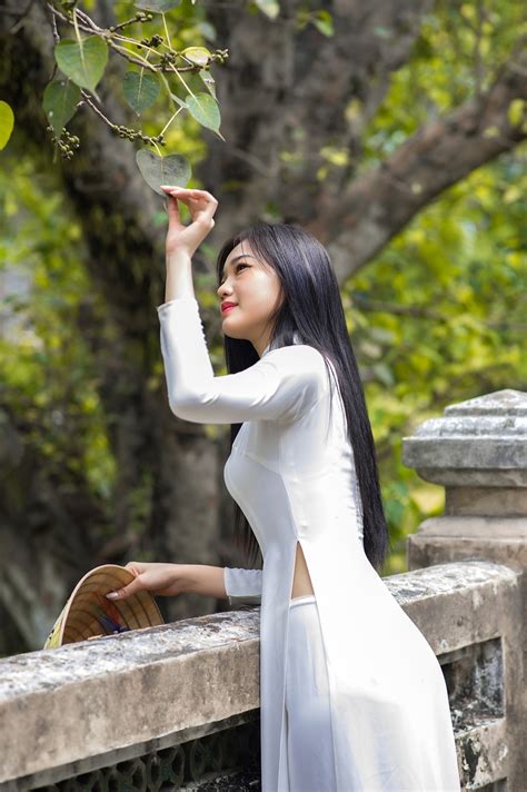 Ao Dai Dress Vietnamese Free Photo On Pixabay