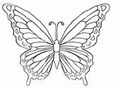 Butterfly Coloring Pages Color Drawing Wings Rainbow Printable Print Butterflies Adult Clipart Drawings Kids Fancy Pattern Disegni Colouring Wing Disney sketch template