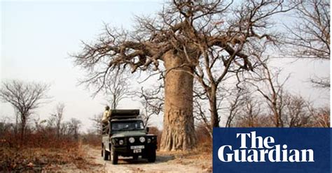 The Namibian Conservation Safari That Keeps Everyone Happy Namibia