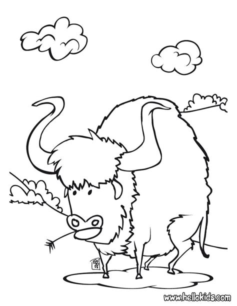buffalo outline drawing  getdrawings