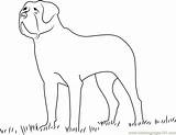 Bernard Coloring Saint Poil Court Pages Coloringpages101 Dog Printable sketch template