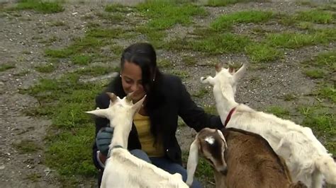 mass  woman  slaughter  pet goats necn