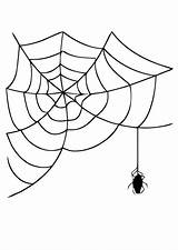 Spider Web Coloring Edupics Pages sketch template