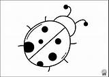 Ladybug sketch template