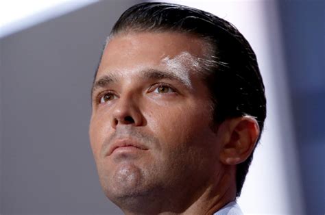 donald trump jr and the white nationalist alt right a pattern that goes way beyond coincidence
