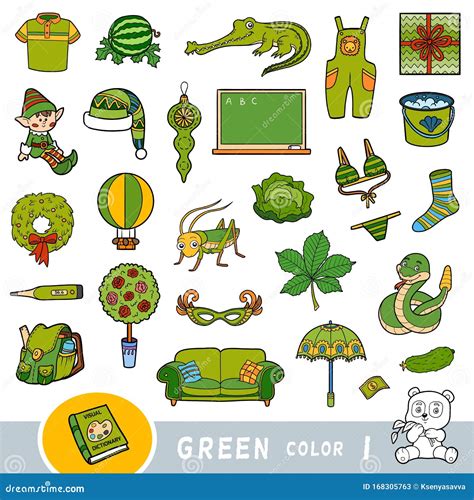 colorful set  green color objects visual dictionary  children