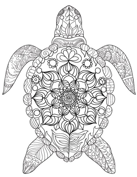 printable sea turtle adult coloring page