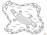 Aboriginal Colouring Platypus sketch template