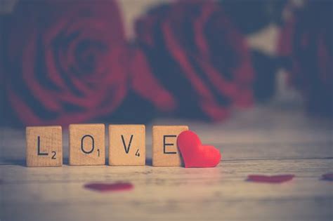 love pictures   hd pixabay pixabay
