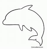 Silueta Siluetas Delfin Marinos Sombras Animalitos Rellenar Delfines Conejo Conejos Apexwallpapers sketch template