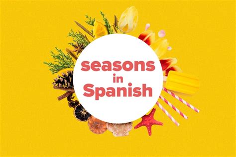 seasons  spanish  seasonal vocabulary information https