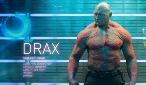 Dave Bautista Hoping For More Drax Movie Appearances