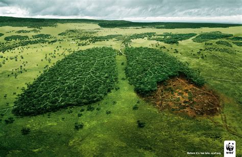 persuasion  influence wwf campaign deforestation  lungs
