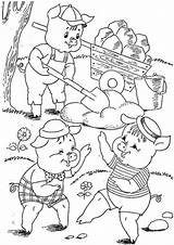 Pig Pigs Tulamama Colorear Porcellini Tres Cochons Petits Cerditos Dinosaur Trois Rhymes Histoire öffnen Drei детски Schweinchen sketch template