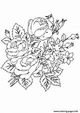 Coloring Rosas Group Pages A4 Rose Printable Parentune sketch template