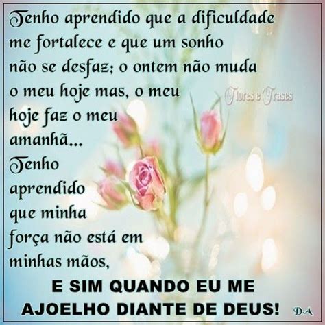 melhores imagens de flores  frases  pinterest