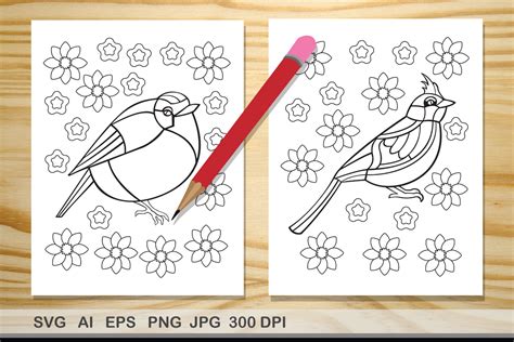 birds coloring pages svg graphic  andrews creative world creative